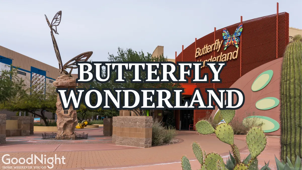 The exterior of Butterfly Wonderland, featuring its welcoming sign, an artistic butterfly sculpture, surrounding cacti, and a landscaped garden. The image conveys a sense of adventure and education, with visual cues of family-friendly fun and a vibrant, inviting environment.