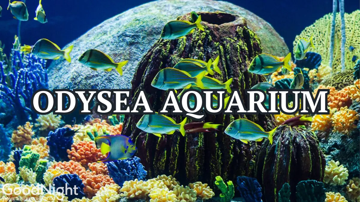 A dazzling underwater interior of the OdySea Aquarium, showcasing colorful coral reefs, diverse species of fish, and the enchanting appeal of aquatic exhibits.